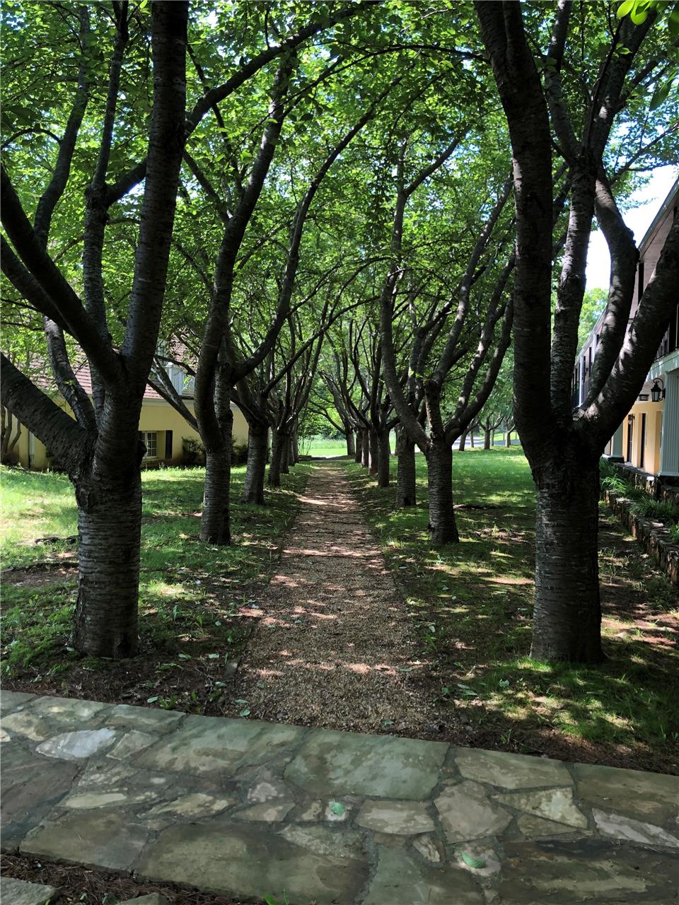 A view of the grounds at the Awards Retreat location in Virginia